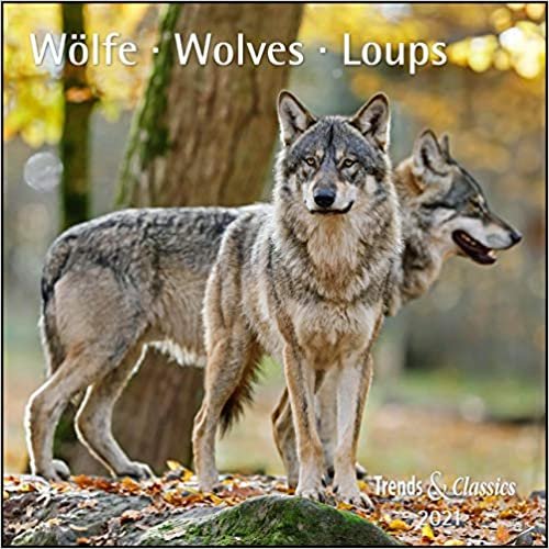 Wölfe Wolves 2021 - Broschürenkalender - Wandkalender - mit herausnehmbarem Poster
