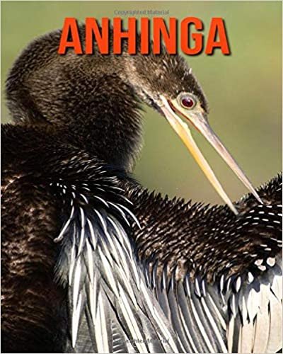 Anhinga: Amazing Facts & Pictures