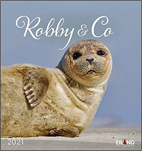 Robby & Co Postkartenkalender 2021 - Kalender mit perforierten Postkarten - zum Aufstellen und Aufhängen - mit Monatskalendarium - Format 16 x 17 cm