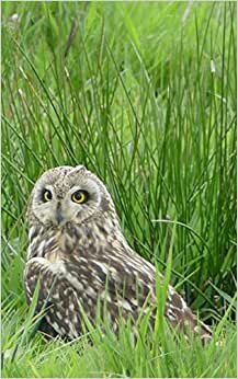 Notebook: Short Eared Owl 5" x 8" 150 Ruled Pages
