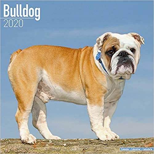 Bulldog Calendar 2020