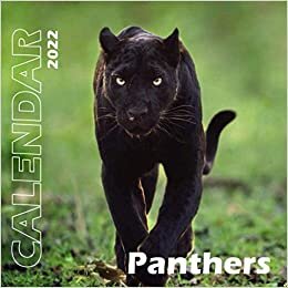 Panther 2022 Calendar: Special gifts for all ages and genders with 18-month Mini Calendar 2022