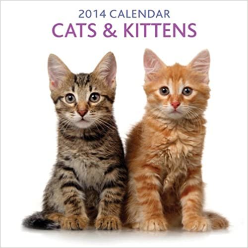 Cats & Kittens 2014 Calendar (Calendars) indir