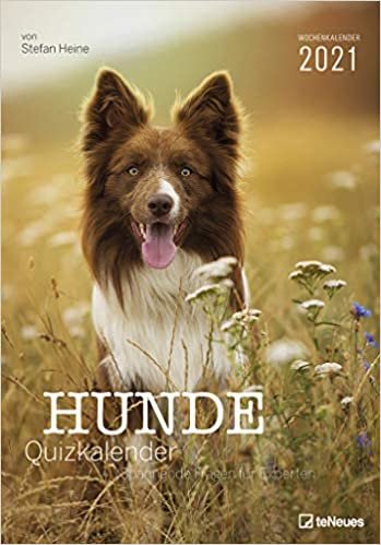 Stefan Heine Hunde Quizkalender 2021 Wochenkalender - Quizkalender - Rätselkalender - Jede-Woche-neue-Rätsel - Tierkalender - 23,7x34