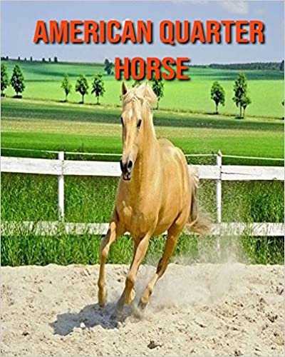 American Quarter Horse: Beautiful Pictures & Interesting Facts Children Book About American Quarter Horse