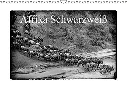Afrika Schwarzweiß (Wandkalender 2019 DIN A3 quer): Entdeckung der afrikanischen Tierwelt in Schwarz und Weiß (Monatskalender, 14 Seiten ) indir