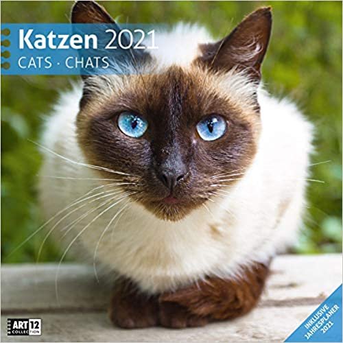 Katzen 2021 Broschürenkalender indir