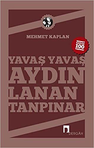 Yavaş Yavaş Aydınlanan Tanpınar