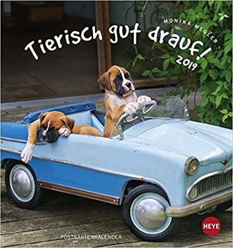 Tierisch gut drauf 2019 Postkartenkalender