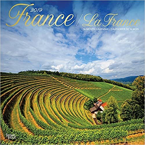 France - Frankreich 2019 - 18-Monatskalender mit freier TravelDays-App (Wall-Kalender) indir