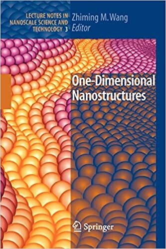 One-Dimensional Nanostructures (Lecture Notes in Nanoscale Science and Technology, Band 3)