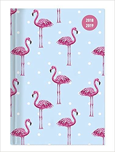 Collegetimer A6 Woche Flamingo 2018/2019 indir