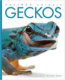 Amazing Animals: Geckos indir