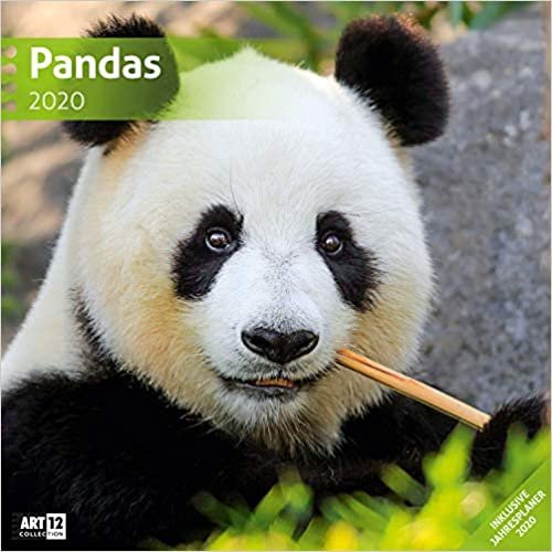 Pandas 2020 Broschürenkalender indir