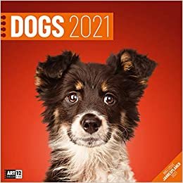 Dogs Kalender 2021