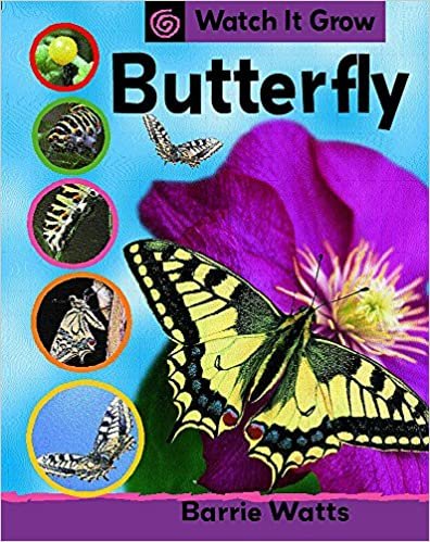 Watch It Grow: Butterfly