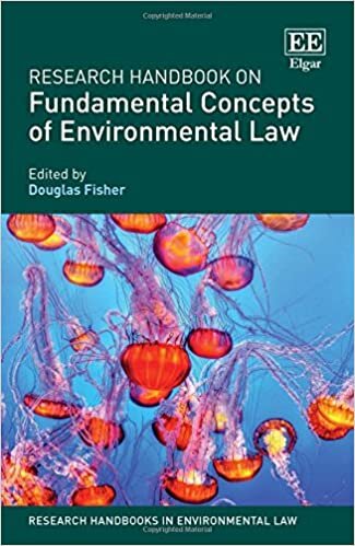 Research Handbook on Fundamental Concepts of Environmental (Research Handbooks in Environmental Law)