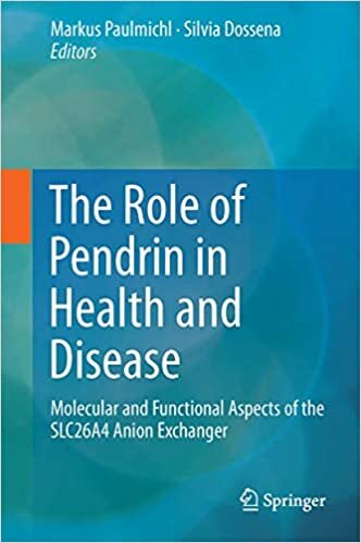 The Role of Pendrin in Health and Disease: Molecular and Functional Aspects of the SLC26A4 Anion Exchanger