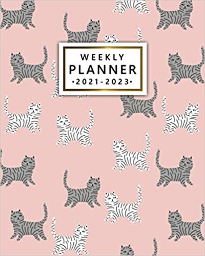Weekly Planner 2021-2023: Pink Girly 3-Year Diary with To Do Lists, Notes | Calendar, Organizer, Agenda with Holidays, Vision Boards | Funky Curious Cats