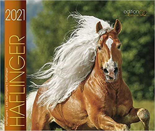 Haflinger 2021: Haflinger Pferde