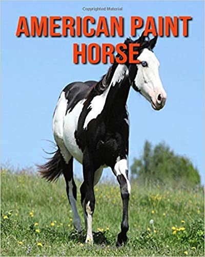 American Paint Horse: Fascinating American Paint Horse Facts for Kids with Stunning Pictures!
