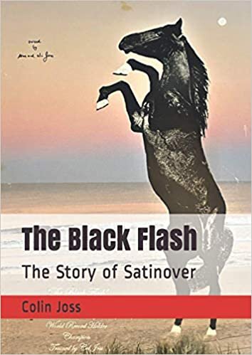 The Black Flash: The Story of Satinover