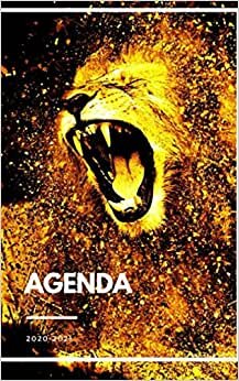 Agenda Scolaire 2020 2021 Journalier Lion / Agenda Animal Lion / 292 pages / collège / lycée / étudiant /
