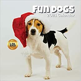 Fun Dogs LOL 2021 Calendar: Funny Wall Planner for Pet Lover Mom, Dad, Women, Men Gift - Birthday Ideas, Stocking Stuffers / Fillers Christmas