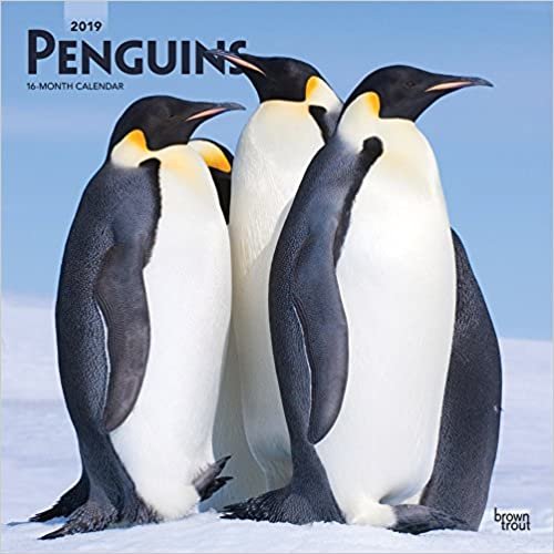 Penguins - Pinguine 2019 - 18-Monatskalender (Wall-Kalender)