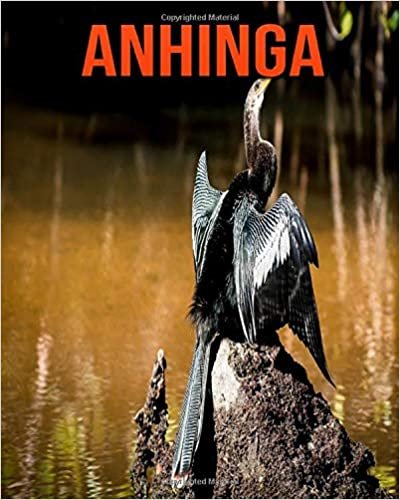 Anhinga: Beautiful Pictures & Interesting Facts Children Book About Anhinga
