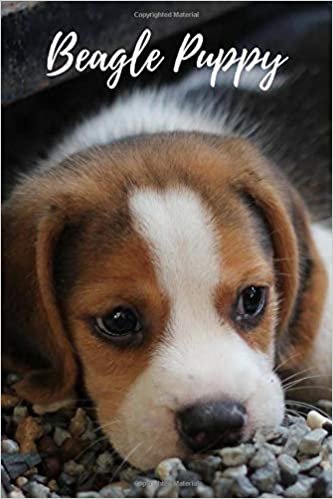 Beagle Puppy: Animal Notebook for Kids, Notebook for Coloring Drawing and Writing (110 Pages, Unlined, 6 x 9) (Animal Glossy Notebook)