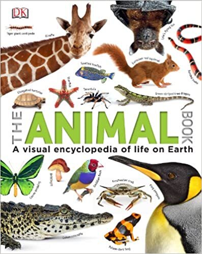 The Animal Book: A Visual Encyclopedia of Life on Earth (Reference) indir