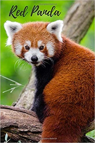 Red Panda: Notebook with Animals for Kids, Notebook for Drawing and Writing (110 Pages, Unlined, 6 x 9) (Animal Notebook)