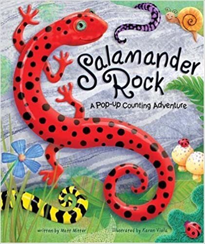 Salamander Rock (Pop-Up Counting Books)
