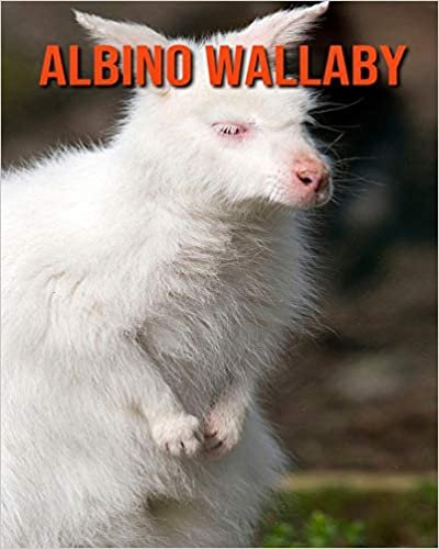 Albino Wallaby: Amazing Photos & Fun Facts Book About Albino Wallaby For Kids indir