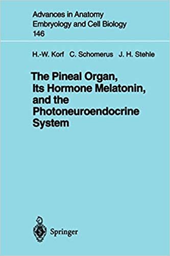 "The Pineal Organ, Its Hormone Melatonin, and the Photoneuroendocrine System" (Advances in Anatomy, Embryology and Cell Biology (146), Band 146)