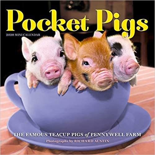 Pocket Pigs Mini Calendar 2020
