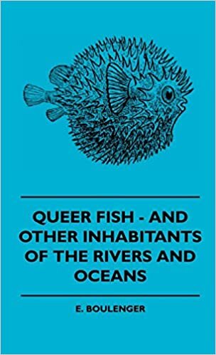 Queer Fish and Other Inhabitants of the Rivers and Oceans