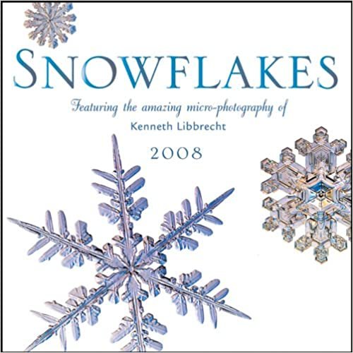 Snowflakes 2008 Calendar