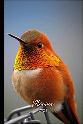 2021 PLANNER: "HUMMING-BIRD". 150 pages. Weekly planner. Annual and monthly calendar. Timetable. January to December 2021. 6'x 9'.