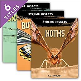 Xtreme Insects Set 2 (Set)