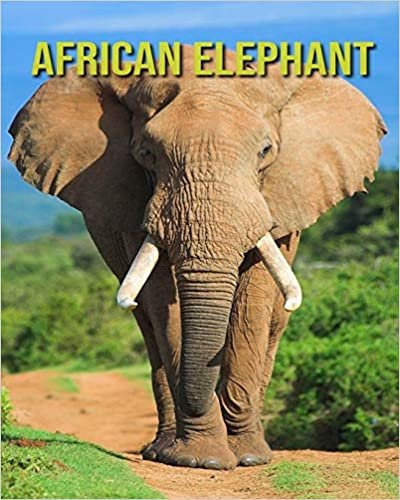 African elephant: Amazing Pictures and Facts About African elephant