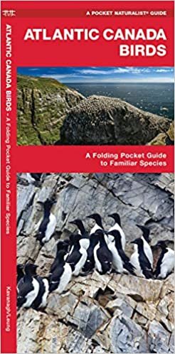 Atlantic Canada Birds: A Folding Pocket Guide to Familiar Species (Wildlife and Nature Identification)