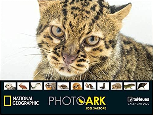 National Geographic Ark 2020