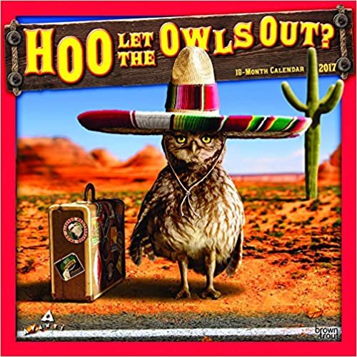 Avanti Hoo Let the Owls Out? 2017 Square Wall Calendar