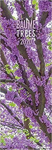 Trees 2020 King Size Wall Calendar