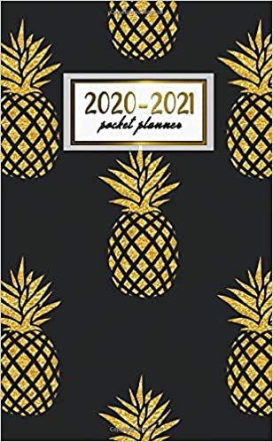 2020-2021 Pocket Planner: Pretty Two-Year Monthly Pocket Planner and Organizer | 2 Year (24 Months) Agenda with Phone Book, Password Log & Notebook | Nifty Black & Gold Pineapple Pattern indir