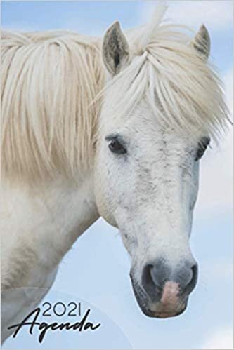 Agenda 2021 Cheval: Agenda 2021 Semainier chevaux - Format a5 - planificateur hebdomadaire et mensuel - agenda de janvier à décembre 2021 - 1 semaine sur 2 pages - cadeau cheval f homme