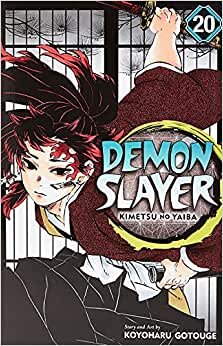 Demon Slayer: Kimetsu no Yaiba, Vol. 20: Volume 20