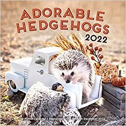 Adorable Hedgehogs 2022: 16-Month Calendar - September 2021 through December 2022 indir